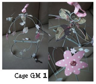 Cage GM 1