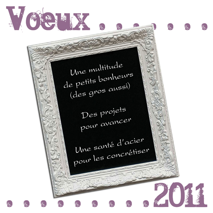 Voeux2011 PM
